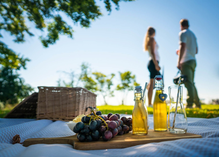 Auf einer ausgebreiteten Picknickdecke liegen ein Vesperbrett mit Trauben und Flaschen mit Getränken. Im Hintergrund stehen zwei Menschen.