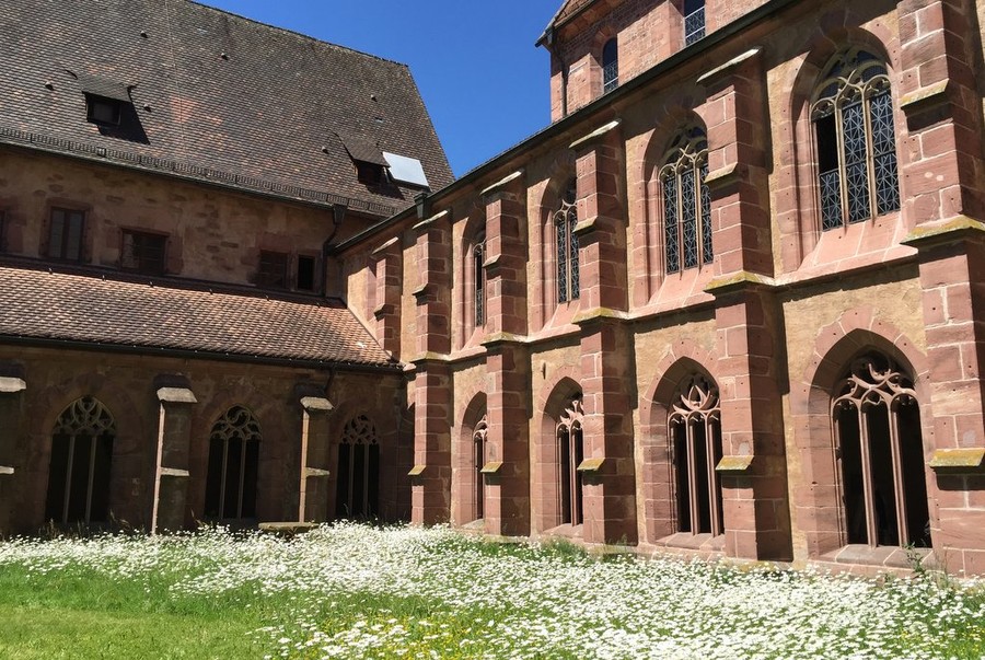 Kloster Alpirsbach mit einer weißen Blumenwiese davor.