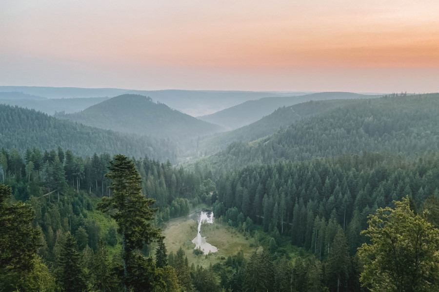 Weitläufiger Ausblick über den Schwarzwald mit seinen vielen Bergen und Tannenwäldern.