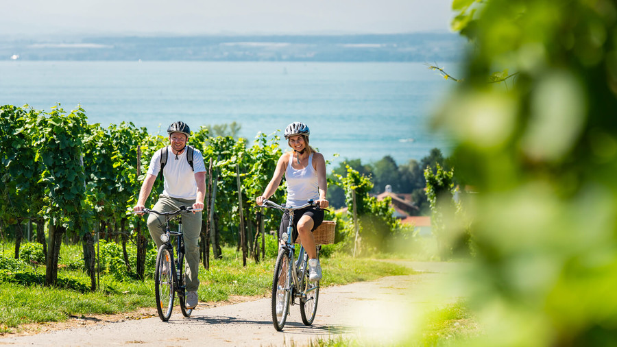Ein Mann und eine Frau fahren mit ihren Fahrrädern einen Weg entlang. Im Hintergrund sind Weinberge und der Bodensee.